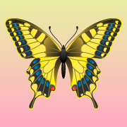 MarinaGv