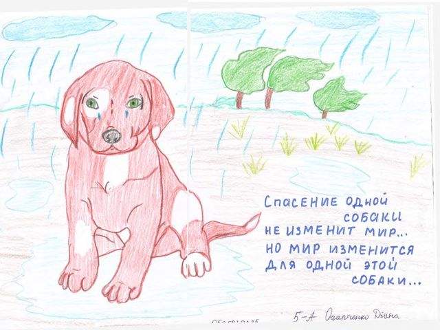 Определены победители конкурса детского рисунка Определены победители конкурса детского рисунка