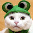 Linama