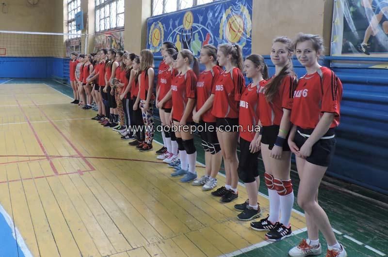 Девушки из Добропольского района заняли второе место на областных соревнованиях по волейболу + ФОТО