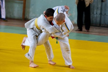Спортсмены Добропольского района успешно выступили в областных соревнованиях по дзюдо