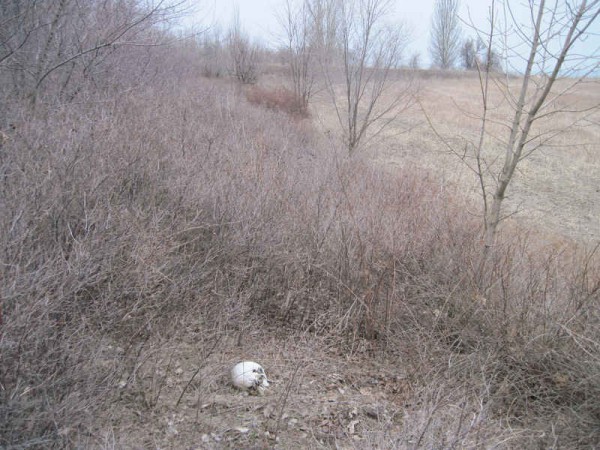 Фотофакт: в Добропольском районе обнаружены останки человека