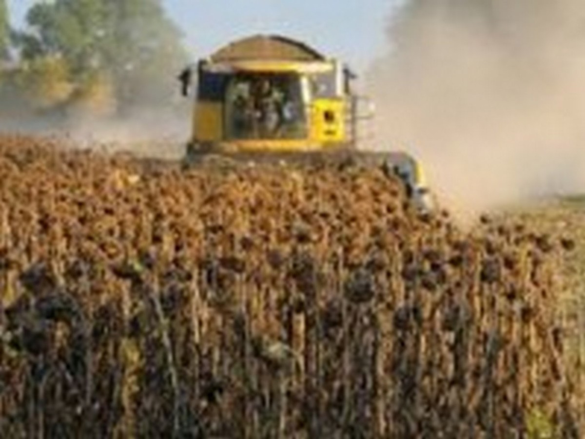Сельскохозяйственные предприятия Добропольского района на 66% завершили сев озимых культур