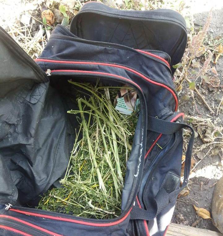 Добропольские правоохранители изъяли целую сумку конопли у местного жителя