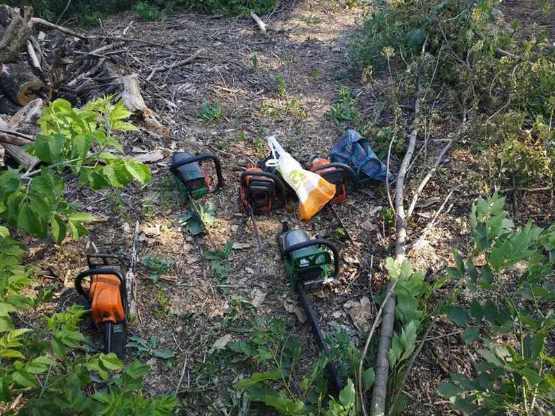 В Добропольском районе задержали шестерых мужчин, которые незаконно занимались вырубкой деревьев + ФОТО