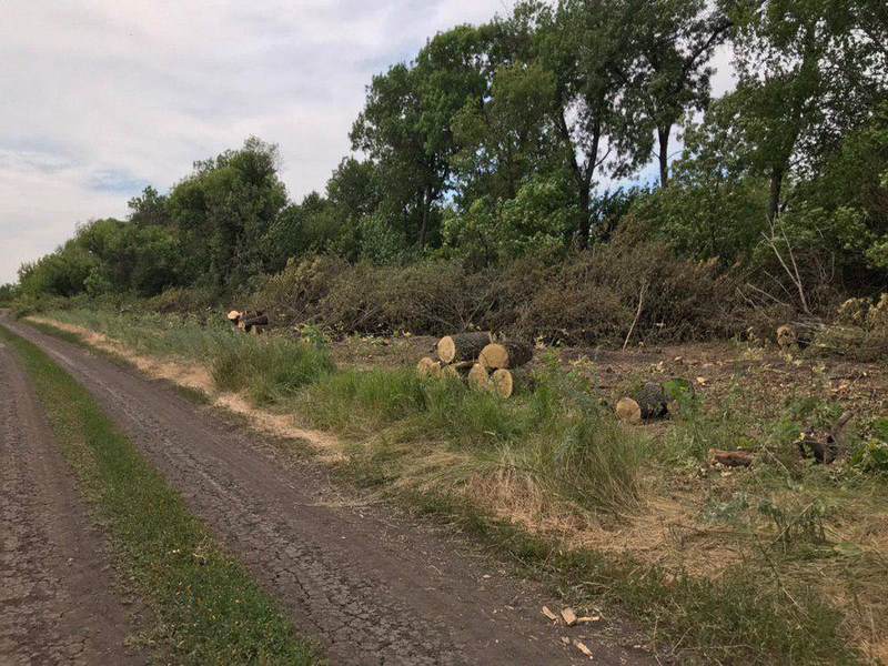 В Добропольском районе задержали шестерых мужчин, которые незаконно занимались вырубкой деревьев + ФОТО