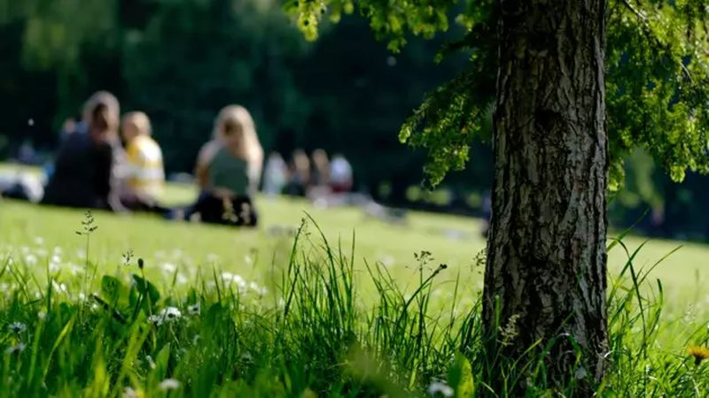 Выходные дни и праздники в мае 2021 года в Украине: подробный календарь