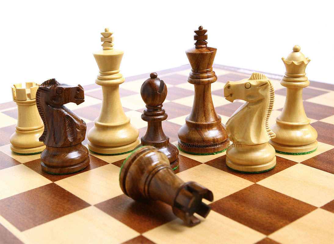 У Добропіллі пройшов I-й онлайн турнір з шахів «Сеньйори-Юніори 2021»