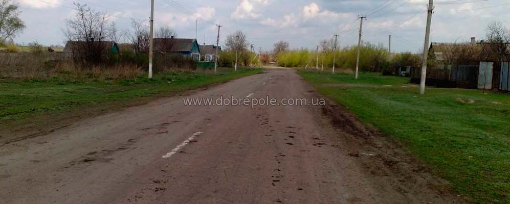 Милиция ищет виновника смертельного ДТП в Добропольском районе