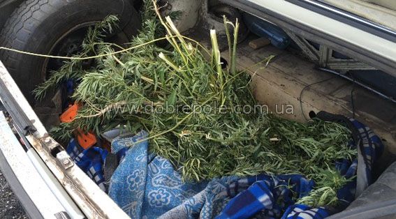 Водителя «копейки» с полным багажником конопли задержали в Добропольском районе