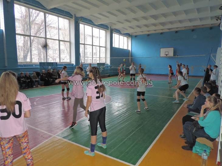 В Доброполье состоялся турнир по волейболу среди женских команд Донецкой области